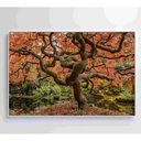 Ver imagem 4 de Quadro Sakura Rosa Outono 90x60 Cm Vidro Impresso