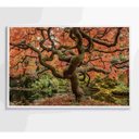 Ver imagem 2 de Quadro Sakura Rosa Outono 90x60 Cm Vidro Impresso
