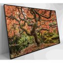 Ver imagem 6 de Quadro Sakura Rosa Outono 90x60 Cm Vidro Impresso