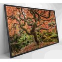 Ver mais imagens de Quadro Sakura Rosa Outono 90x60 Cm Vidro Impresso
