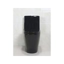 Ver imagem 5 de Vaso Sanitário Monobloco Completo - Caixa Acolpada com Assento Cor Preto