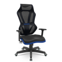 Ver imagem 1 de Cadeira Escritório Presidente Gamer Vizon Dz Plaxmetal Relaxsystem Preta/azul