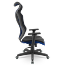 Ver imagem 3 de Cadeira Escritório Presidente Gamer Vizon Dz Plaxmetal Relaxsystem Preta/azul