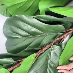 Ficus Lyratta Arvore Planta Artificial Toque Real Grande - 4