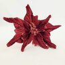 Poinsettia Vinho Aveludada 50x22cm Bico De Papagaio Natal - 5