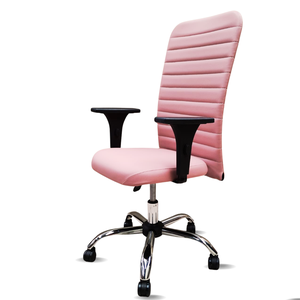 Cadeira Escritório Presidente Rosa Executiva Ergonômica Apoio Lombar Nr17 Office Giratória C/rodinha