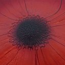 Ver imagem 3 de Centro de Mesa em Cristal Vermelho - 2x27,5cm - Luxo em Foco: Centro de Mesa de Design Único