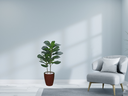 Ver imagem 2 de Planta Árvore Artificial Ficus Lyrata Real Toque Verde 1m Kit + Vaso E. Marrom 30 cm