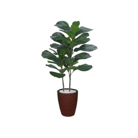 Planta Árvore Artificial Ficus Lyrata Real Toque Verde 1m Kit + Vaso E. Marrom 30 cm