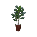 Ver imagem 1 de Planta Árvore Artificial Ficus Lyrata Real Toque Verde 1m Kit + Vaso E. Marrom 30 cm