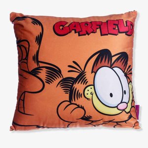 Almofada 40x40 Garfield