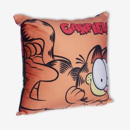 Almofada 40x40 Garfield - 2