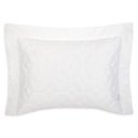 Ver imagem 1 de Porta Travesseiro Altenburg Bordados em Cetim 300 Fios 50cm x 70cm - Heritage