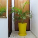 Ver imagem 5 de Kit Vaso Planta + Prato 50x40 Redondo Cônico Polietileno BGPLASTICOS CINZA CIMENTO 004