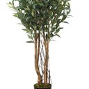 Ver imagem 2 de Árvore Artificial Oliveira com Tronco Natural 1,20m | Folhagem e Frutos Realistas Formosinha