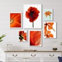 Ver imagem 1 de Composição 6 Quadros Decorativos Alaranjados- Flores - com Vidro:madeira Branca
