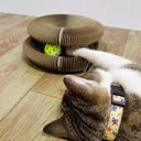 Ver imagem 1 de Arranhador Magico Pet Gato Felino Brinquedo Bola Guizo Multi Formas Dobravel Diversao Lazer Relaxant