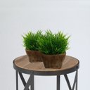 Ver imagem 4 de 8 Buquês de Plantas Artificiais Decoração Moderna com Acabamento Natural