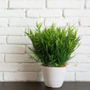 Ver imagem 3 de 8 Buquês de Plantas Artificiais Decoração Moderna com Acabamento Natural