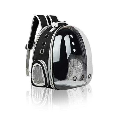 Mochila Pet Transparente para Passeio de Animais
