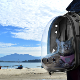 Mochila Pet Transparente para Passeio de Animais - 3