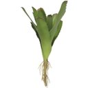 Ver imagem 3 de Kit 6 Peças Bromélia Planta Artificial Verde 21cm 8 Folhas
