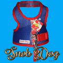 Ver imagem 6 de Coleira Cores Peitoral +Guia SnobDog Roupinhas - P - Azul