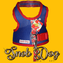 Ver imagem 5 de Coleira Cores Peitoral +Guia SnobDog Roupinhas - P - Azul