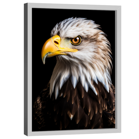 Quadro Decorativo Águia Americana