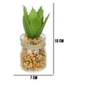 Ver imagem 4 de Vaso com Suculenta Folha Alta Verde Escuro 10x7 cm - D’Rossi
