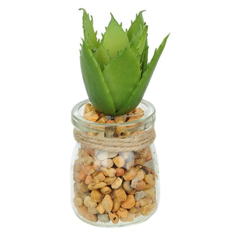 Vaso com Suculenta Folha Alta Verde Escuro 10x7 cm - D’Rossi