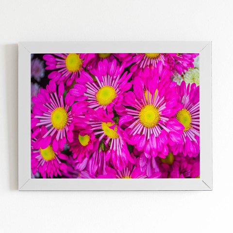 Quadro Crisântemo Roxo Foto Flores Moldura Branca 60x40cm