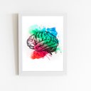 Ver imagem 1 de Cérebro Colorido Minimalista Quadro Moldura Branca 60x40cm