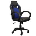 Ver imagem 1 de Cadeira Gamer em Couro Pu Preta com Azul Pelegrin Pel-3002