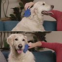 Ver imagem 6 de Escova Silicone Pet 3 Em 1 Tira Pelos Massageadora Higiênica