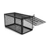 Ratoeira Gaiola Armadilha Kit 10 Unidades Roedores Rato Ratazana Camundongos Captura Compre Desejos  - 7