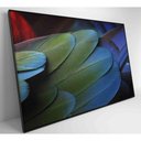 Ver imagem 6 de Quadro Penas Verdes 120x80 Cm Vidro Impresso