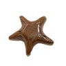 Escultura Decor Estrela do Mar em Ceramica Artesanal - 1