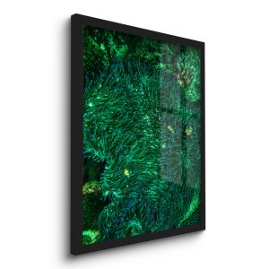 Quadro Decorativo Corais Verdes 45x33 C/vidro