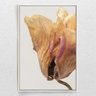 Quadro Decorativo Vertical Flor Seca com Moldura e Sem Vidro 80X120 - 1