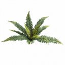 Ver imagem 1 de Buque Planta Artificial Samambaia X12 Folhas Toque Real Formosinha
