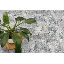 Ver imagem 6 de Tapete Avery 87 3,00x4,00