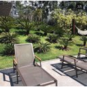 Ver imagem 3 de Espreguiçadeira de Piscina em Tela Sling e Aluminio Marrom Trama Móveis