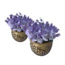 Ver imagem 7 de Kit 15 Lavanda Artificial Branca Realista para Decoração de Interiores e Eventos
