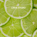 Ver imagem 2 de Sachê Perfumado Premium 20g Aromatizador Cítrico