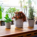 Ver imagem 6 de Kit 3 Cachepô Decorativo Vaso para Planta Cerâmica Cinza