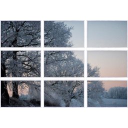 Conjunto de Quadros Decorativos Paisagem Árvores no Inverno Kit com 9 Quadros - 1