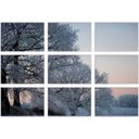 Ver imagem 1 de Conjunto de Quadros Decorativos Paisagem Árvores no Inverno Kit com 9 Quadros