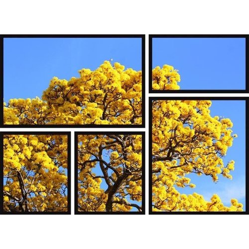 Conjunto de Quadros Decorativos Árvore Ipê Amarelo Kit com 5 Quadros |  MadeiraMadeira