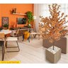 Planta Artificial Árvore Lírio Castanho com 1,60 Metros de Altura - 2